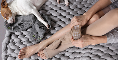 Frauenbeine ziehen Kompressionsstrümpfe vom Sanitätshaus Caroli an, auf einer Wolldecke mit Wollsocken und kleinem Hund, der schläft.
